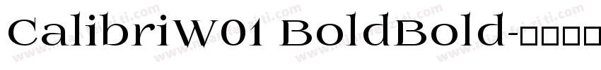 CalibriW01 BoldBold字体转换